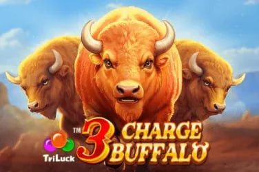 v8 casino
